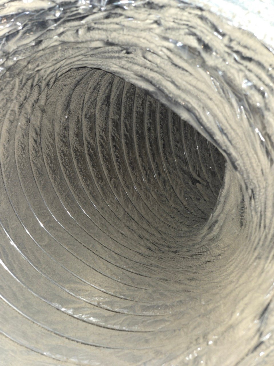 20250119_100836 Large 20250119_100836 Large