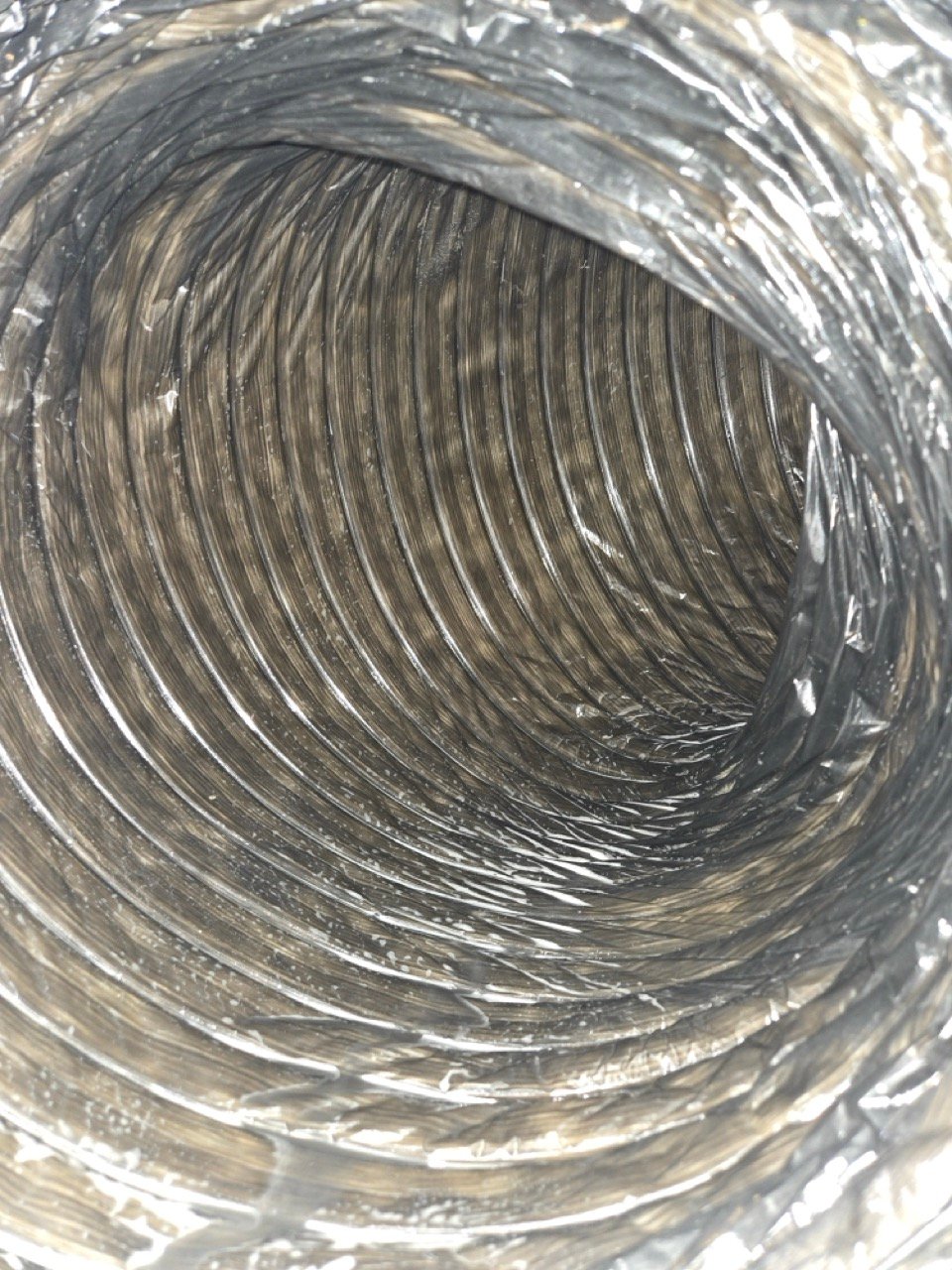 20250119_101632 Large