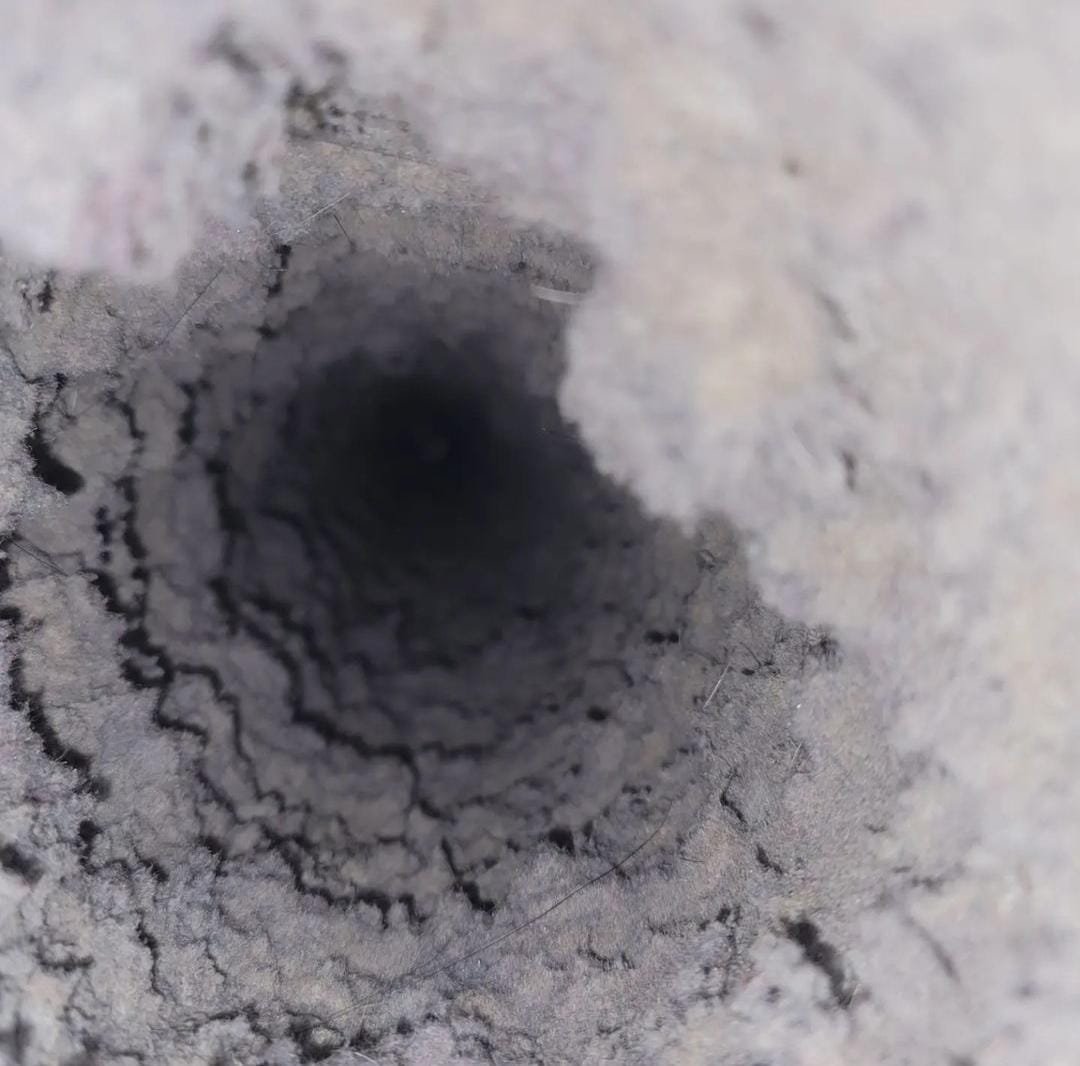 WhatsApp-Image-2024-10-21-at-19.38.55