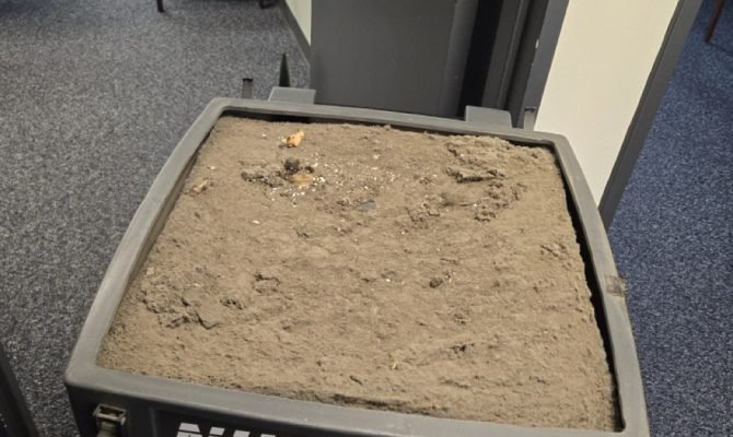 20241027_130545 Large