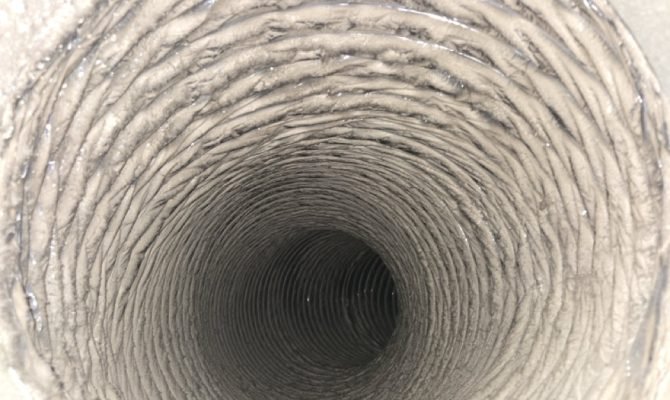 20241119_103229 Large