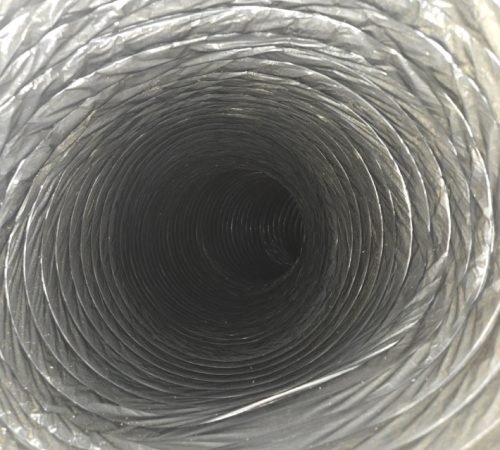 20241119_110135 Large