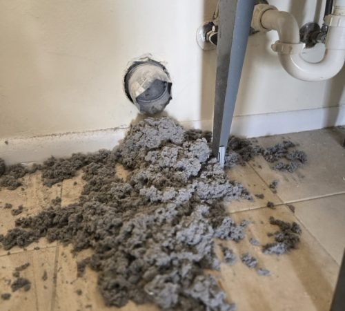 20241126_104321 Large