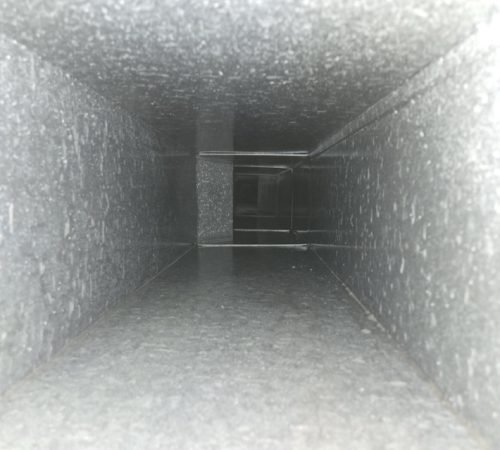 20241126_125913 Large