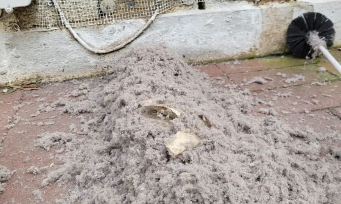 WhatsApp-Image-2024-09-11-at-11.06.59