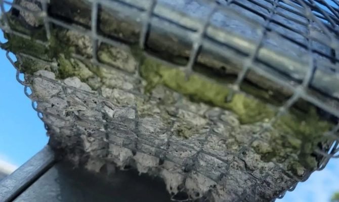 WhatsApp-Image-2024-10-21-at-19.44.40