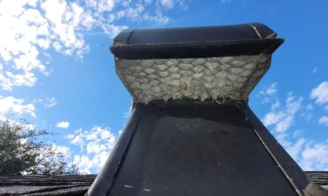 WhatsApp-Image-2024-10-21-at-19.44.49