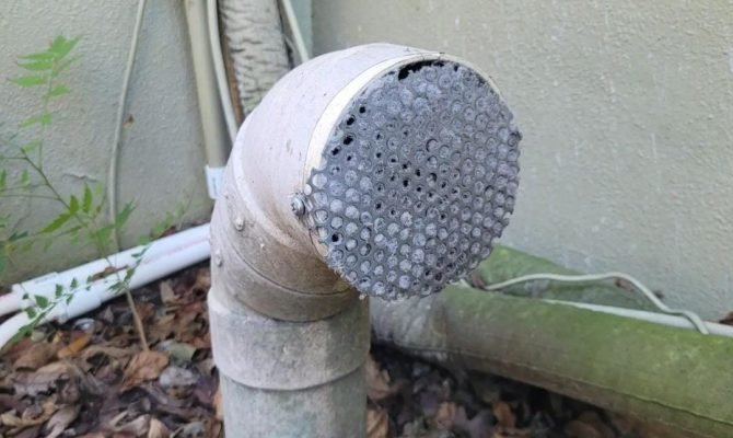 WhatsApp-Image-2024-10-21-at-19.44.59