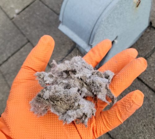 WhatsApp-Image-2024-10-21-at-20.24.55-1